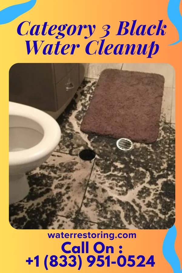 Category 3 Black Water Cleanup in Gatlinburg, TN