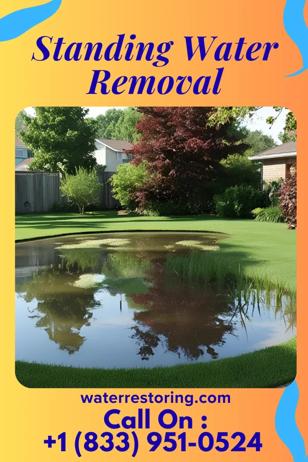 Standing Water Removal in Gatlinburg, TN